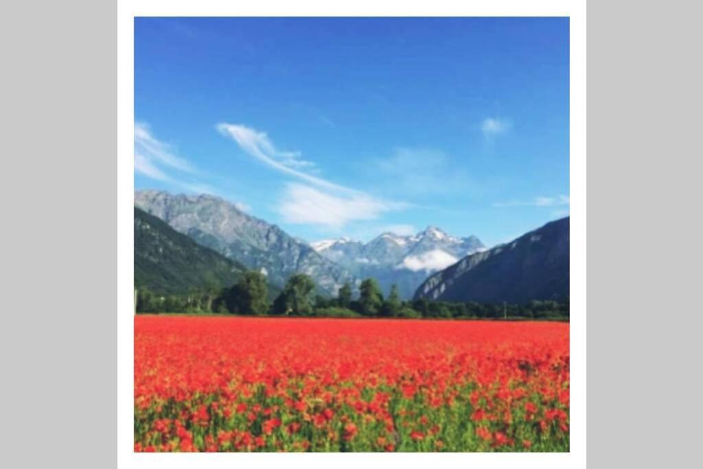 Apartamento L'Edelweis Le Bourg-dʼOisans Exterior foto
